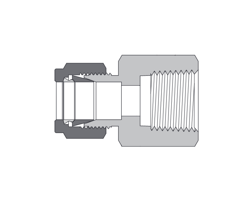 Brass, FITOK 6 Series Tube Fitting, Female Connector, 1/4" O.D. × 1/4 Female NPT