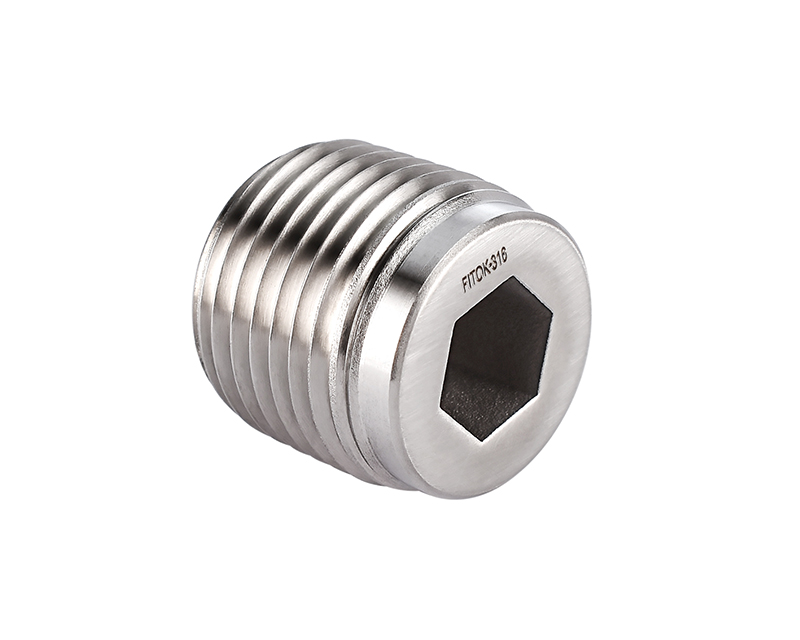 316 SS, FITOK 6 Series Pipe Fitting, Hollow Hex Plug, 1/4 Male ISO Tapered Thread(RT)