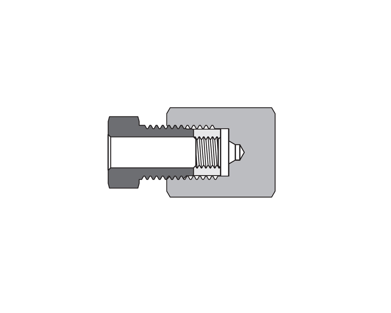 316 SS, FITOK 20M Series Medium Pressure Fitting, Coned and Threaded Connection, Cap, 1" O.D.