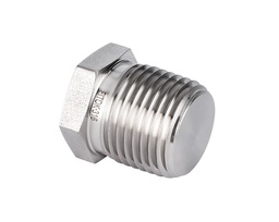 [SS-PP-NS4] 316 SS, FITOK 6 Series Pipe Fitting, Pipe Plug, 1/4 Male NPT