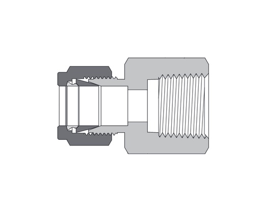 [B-CF-FL4-NS4] Brass, FITOK 6 Series Tube Fitting, Female Connector, 1/4" O.D. × 1/4 Female NPT